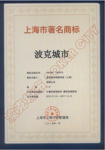 上海波克城市 从2010年起步，成长为中国网络科技领域的创新力量
