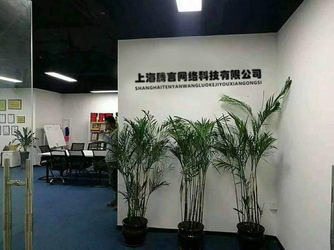 上海腾言网络科技 立足上海网络科技高地的创新力量