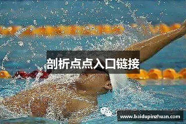 剖析点点入口链接